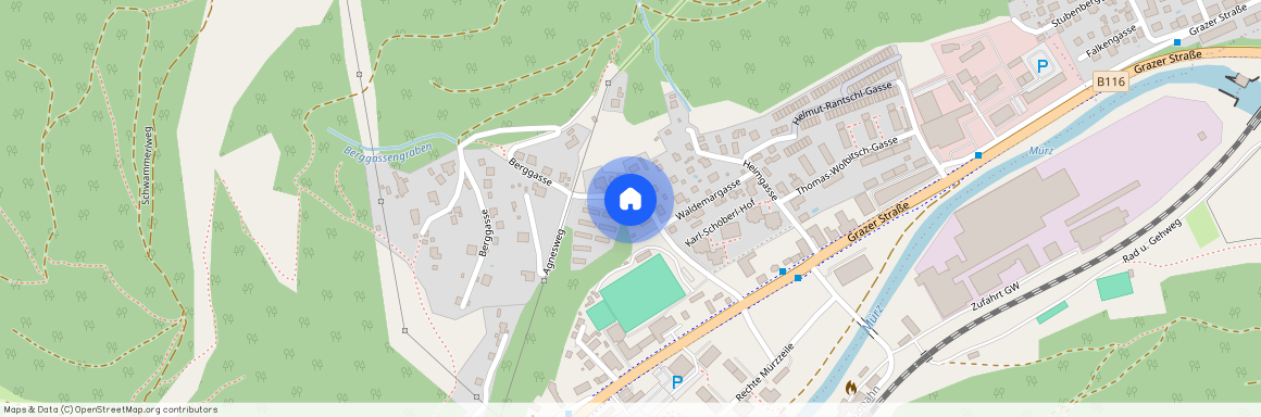 Berggasse 7, 8605, Kapfenberg