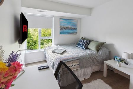 Deluxe Premium - 29 Robinson - Photo 5