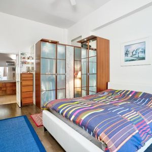 5 1/2 - Montréal (Le Plateau Mont-Royal) - 3 000 $/mois - Photo 2