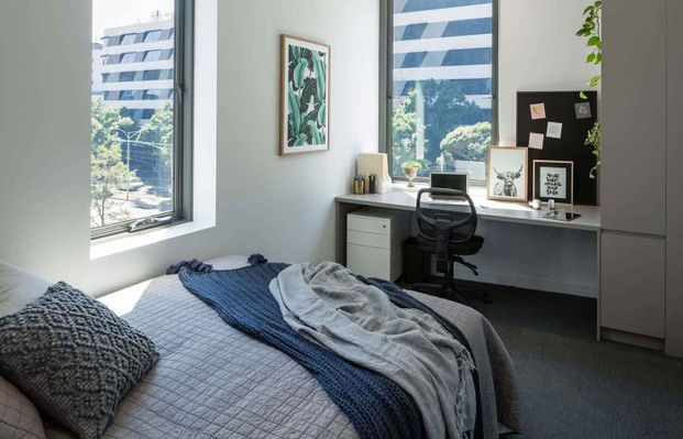 1 Bedroom Studio Premium Plus - Photo 1