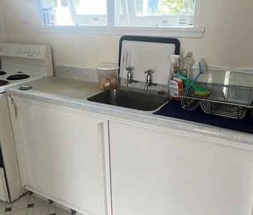 3 Bedroom House - Paeroa - Photo 4