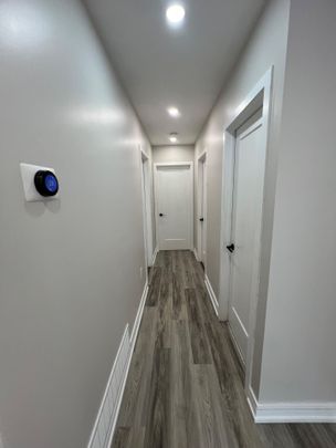 For Lease - 87 Walter Avenue Unit# MAIN, Newmarket, Ontario - Photo 1