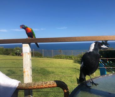 Copacabana - Photo 3