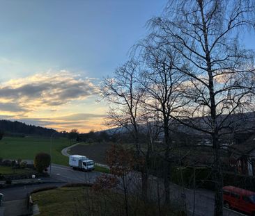 1,5-Zimmer-Möblierte Wohnung in 8108 Dällikon, Zürich - inkl NBK - Foto 3