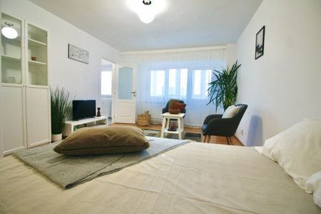 TEIUL DOAMNEI-BERECHET, RENOVATA MOBILATA MODERN, 0%COMISION - Fotografie 3