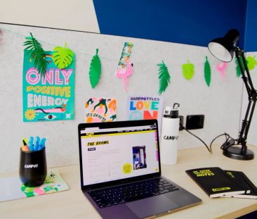 Studio Twin - Photo 3