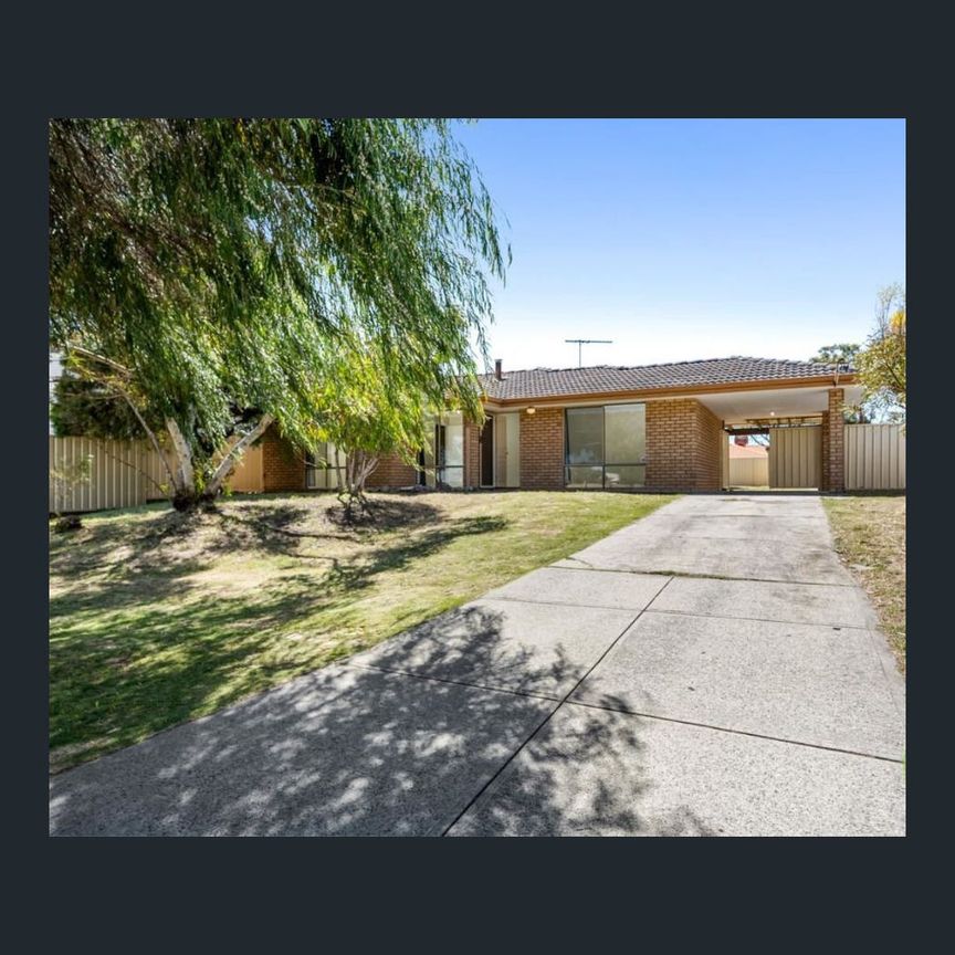 14 Albatross Pl, Rockingham, WA 6168 - Photo 1