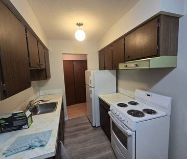 1 Bedroom Suite Marpole South Granville Montcalm St - Photo 2