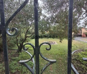 Alquiler de casa o chalet independiente en Calle los Ruiseñores, 1 - Photo 2