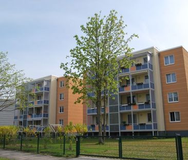 Deine neue Wohnung - einziehen und glücklich werden - Photo 1