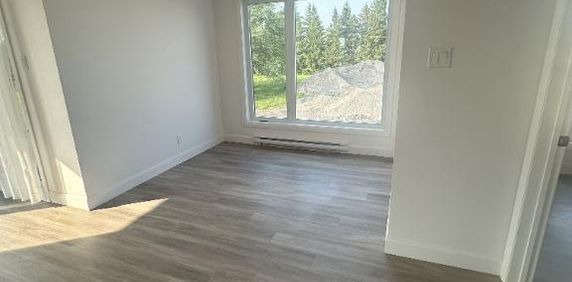 St-Hyacinthe, Logement à louer LIBRE IMMÉDIATEMENT (voir inclusions) - Photo 2