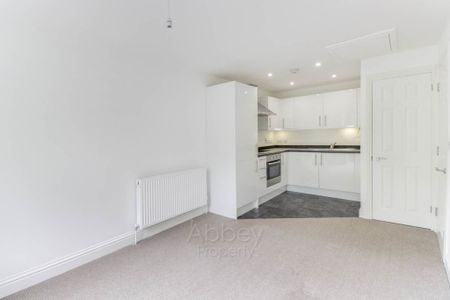 Earls Court, Mulberry Close - Near Town Centre - LU1 1BZ - Photo 2