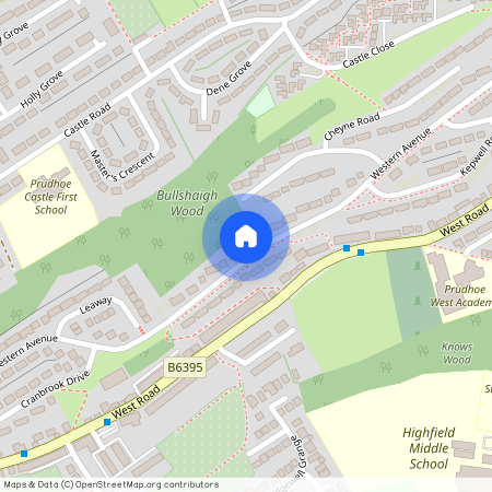 Western Avenue, Prudhoe, NE42