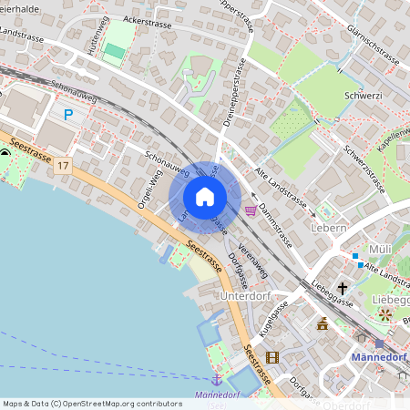 Dorfgasse 2, 8708 Männedorf