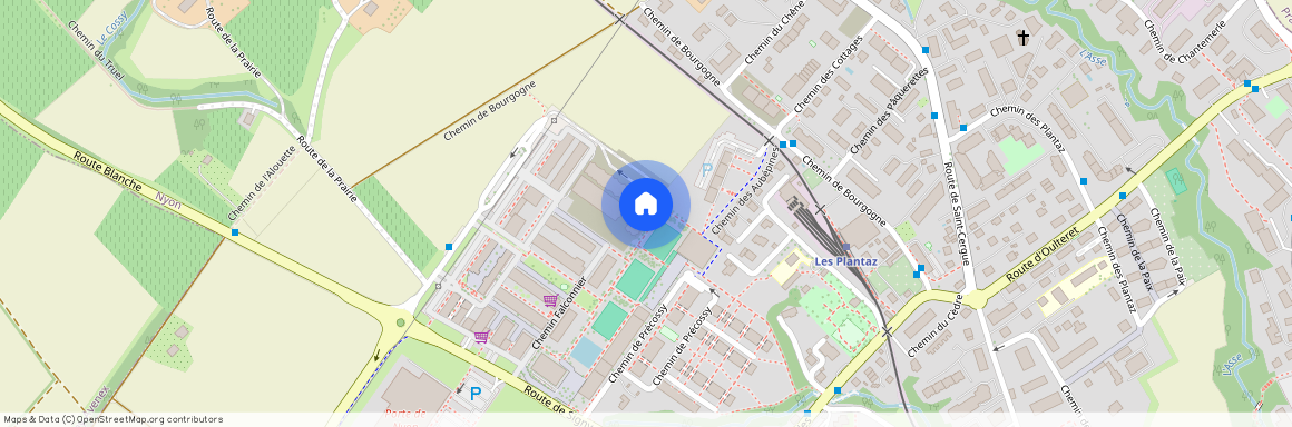 Chemin Falconnier 18 (3A.2), 1260 Nyon