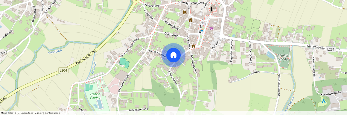 Annengasse 8, 8350, Fehring