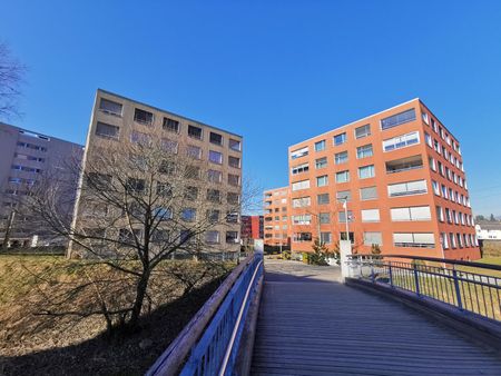 3.5 Zimmer, 80 m², EG - Foto 5