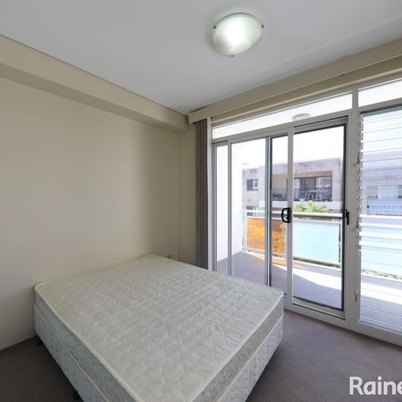 U/175 Avoca Street, Randwick, NSW 2031 - Photo 3