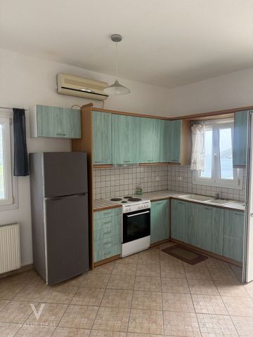 Συγκρότημα για ενοικίαση Όρμος Κορθίου (Άνδρος) - Photo 2