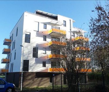 Location appartement 3 pièces 61.24 m² à Saint-André-lez-Lille (59350) - Photo 4