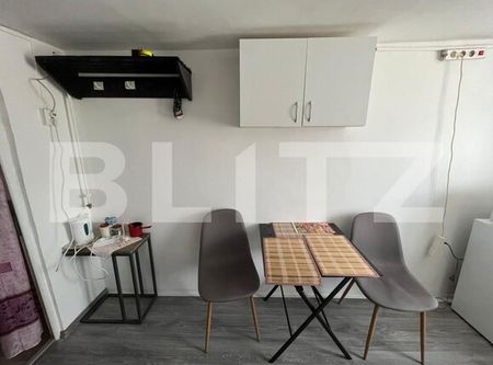 Garsoniera, 20mp, cat friendly, zona Centrala - Fotografie 2