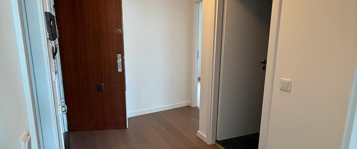 Kern sanierte Einzimmerwohnung direkt am Hofgarten - Photo 1