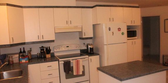Magnifique 4½ boul Rigaud style condo Disponible 1 Septembre - Photo 2