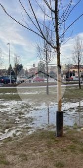 Monolocale in affitto - Photo 2