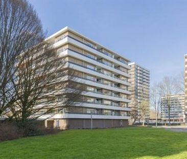 Donau 0ong, 1186 WB Amstelveen, Nederland - Foto 2
