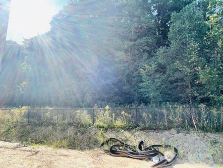 For Lease - 942 Robert Ferrie Drive, Kitchener, Ontario - Photo 5