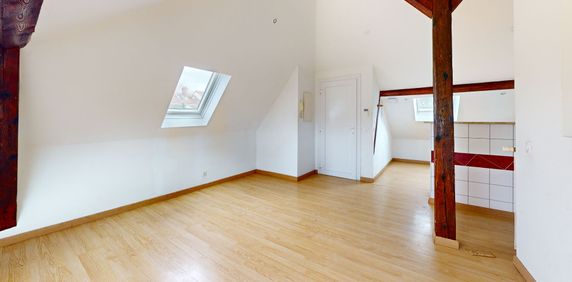 À louer : Charmant appartement 2 pièces à Mulhouse - Photo 2