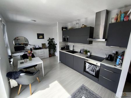 Pronájem bytu 1,5+kk (32m2) s balkonem na ulici Eduarda Hamburgera - Olomouc centrum - Fotografie 4