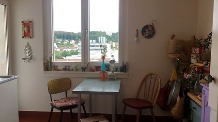 4 Zimmer-Wohnung in Schaffhausen, möbliert, auf Zeit - Photo 4