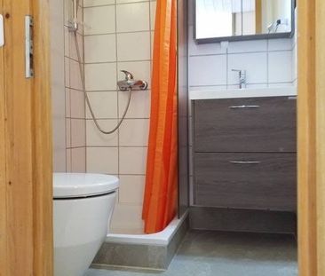 Schöne und zentrale 1,5 Zimmer Wohnung - Photo 3