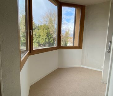 Magnifique appartement proche du quartier des Eaux-Vives - Photo 3