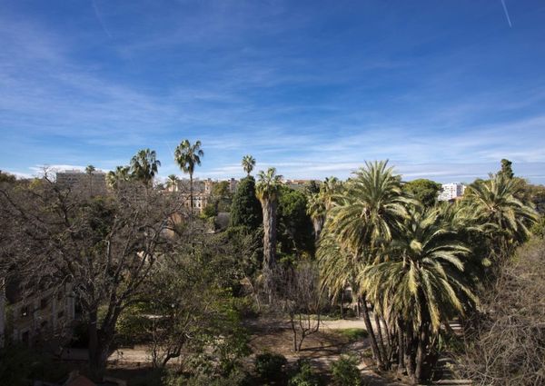 Piso de lujo en Valencia centro con terraza