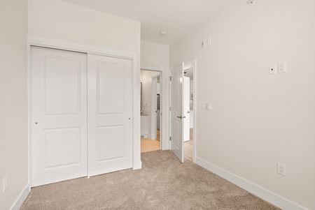 YEARLING - 201 - YE201 - Photo 3