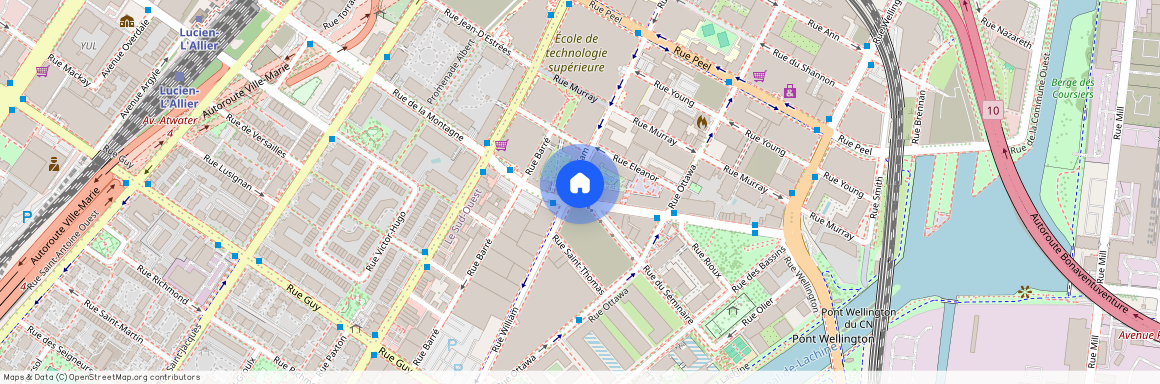 305-317 Rue de la Montagne, Le Sud-Ouest, Le Sud-Ouest, Ile de Montréal, H3C 4K4