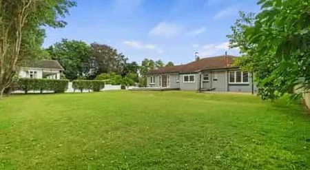 Stylish and Spacious on River Road - Photo 2