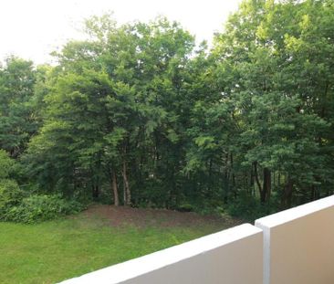 *** SINGLE Wohnung mit BALKON und WALDBLICK * TOP renoviert - * FIS... - Photo 1