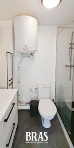 Location Appartement 1 pièce 16m² VANNES 56000 - Photo 3