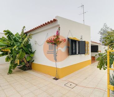 Faro, Faro 8900 - Photo 2