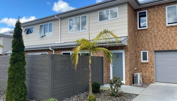 3/157 Ulster Street - Photo 1