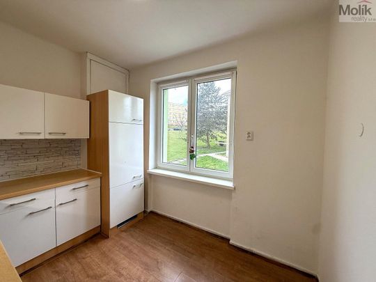 Pronájem bytu 2+1 55 m² - Photo 1