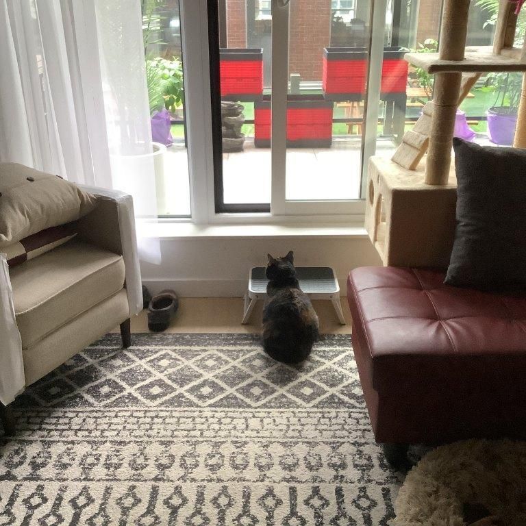 Appartement/condo 4 1/2 - Photo 1