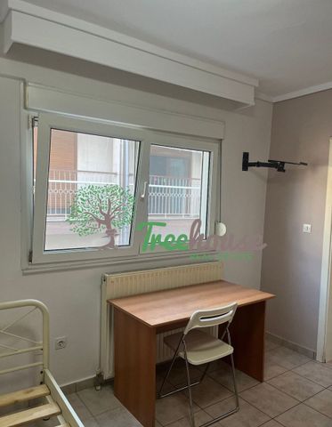 Studio/Γκαρσονιέρα για ενοικίαση Πανεπιστημιούπολη (Κέντρο Θεσσαλονίκης) - Φωτογραφία 2