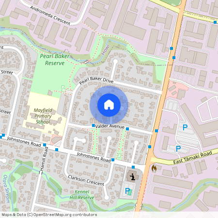 6 Matamata Place, Otara, Manukau City