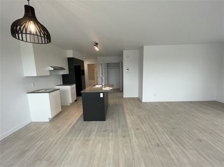 Très Grand 3½(juillet)-304-886, rue Lamarche, Sherbrooke, J1H0M9 - Photo 4