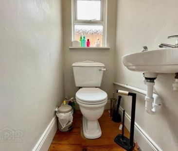 41 Lower Windsor Avenue, Belfast, BT9 7DW - Photo 4