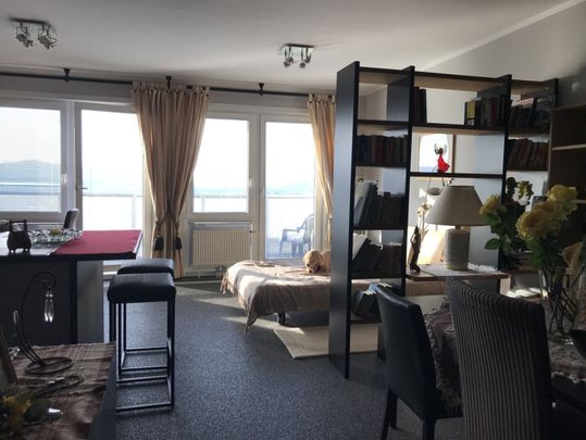 Donauparkblick! Spacious studio apartment on a higher floor for short or long term rent! - Photo 1